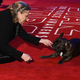 (Photo: Getty Images/WireImage, Dave Benett)